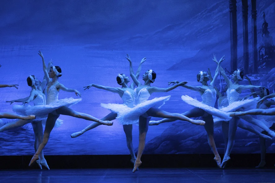 PA_LAGO DE LOS CISNES_4